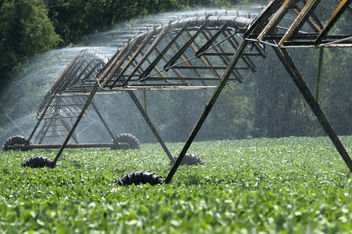 Magriser est leader marocain en micro-irrigation.